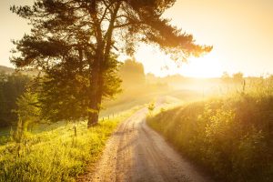 country road