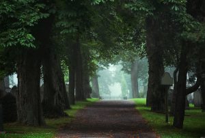 cemetery