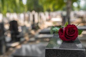 a rose on a grave stone